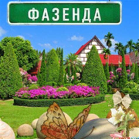 Как применить "Шайню дальше" в повседневной жизни?