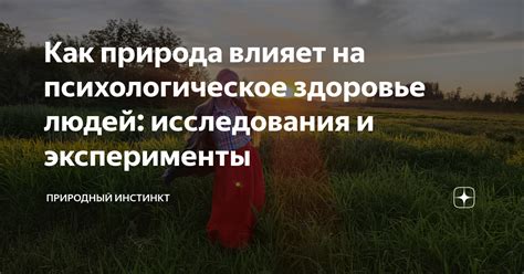 Как природа влияет на наше настроение