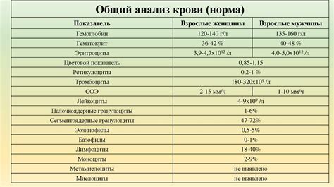 Как проводится анализ ОАК: основные этапы