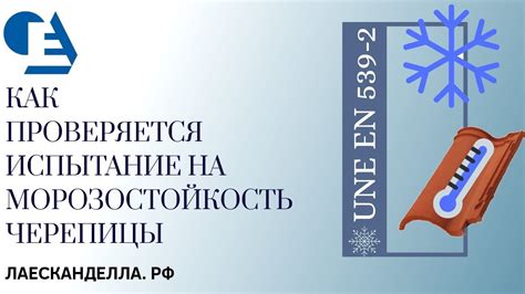 Как проводится испытание на морозостойкость?