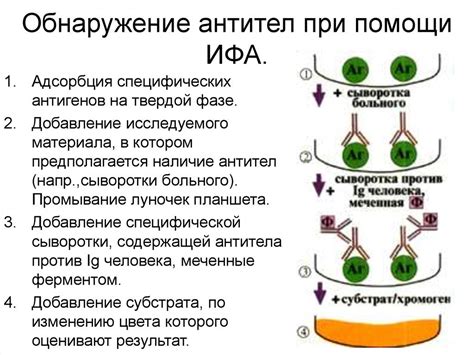 Как проводится суммарный анализ ИФА?