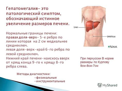 Как проводят лечение гепатомегалии у ребенка?