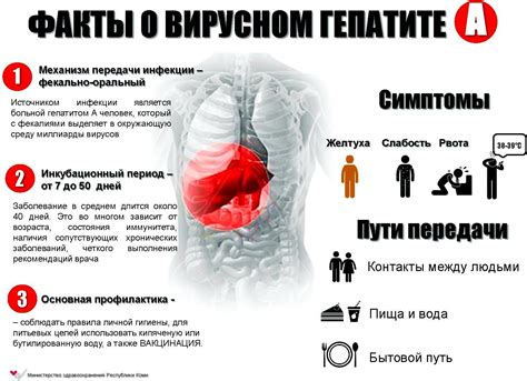 Как происходит передача гепатита С?