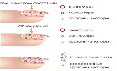 Как происходит полимеризация ногтей?