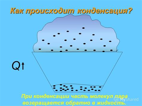 Как происходит процесс запаривания отрубей?