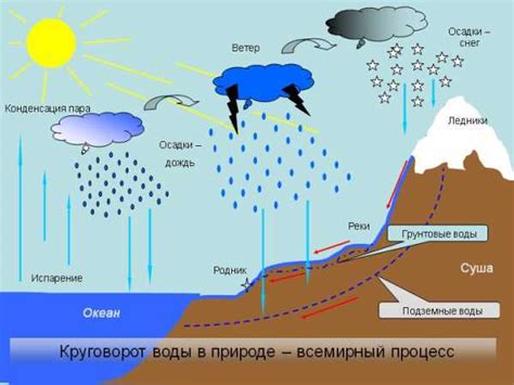 Как происходит процесс образования пузырьков на поверхности воды?