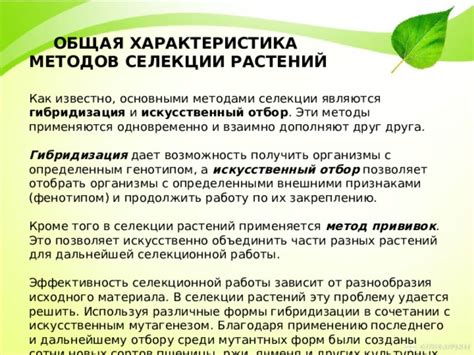 Как происходит процесс селекции?