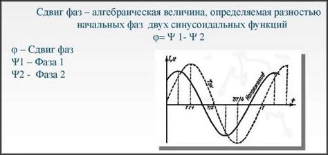 Как происходит сдвиг по фазе у человека?