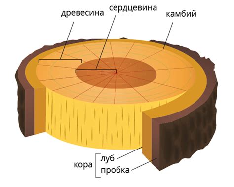 Как происходит сплавление дерева