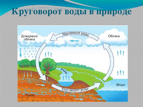 Как происходит стихийная эволюция в природе