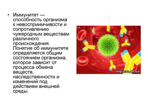 Как происходит формирование иммунитета?
