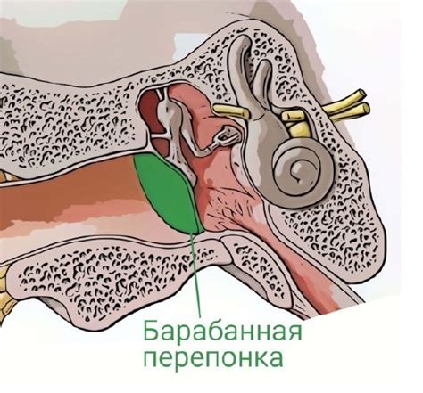 Как происходит хватание за нос