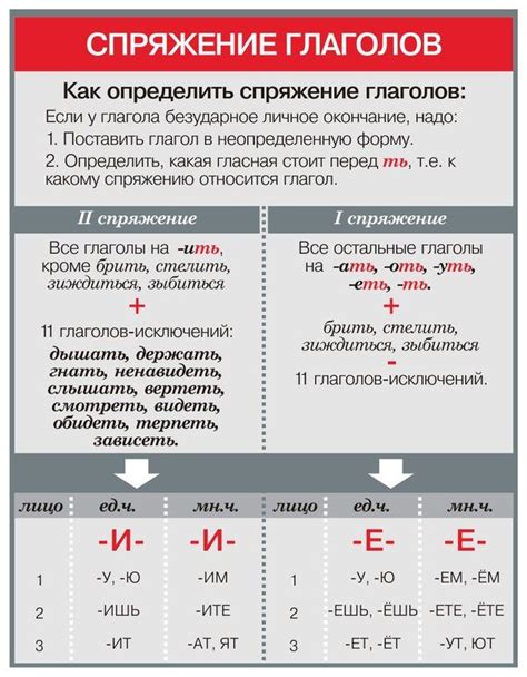 Как проспрягать глаголы: образец по русскому языку