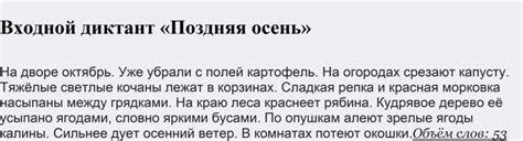 Как проходит входной диктант: этапы