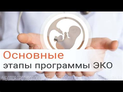 Как проходит протокол ЭКО?