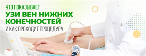 Как проходит процедура Узи степени зрелости 1