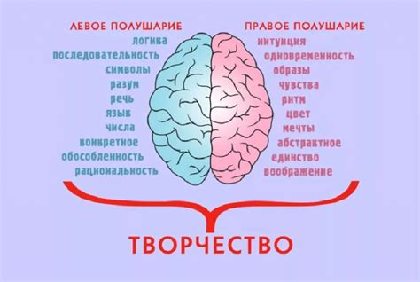 Как проявляется асимметрия мозга