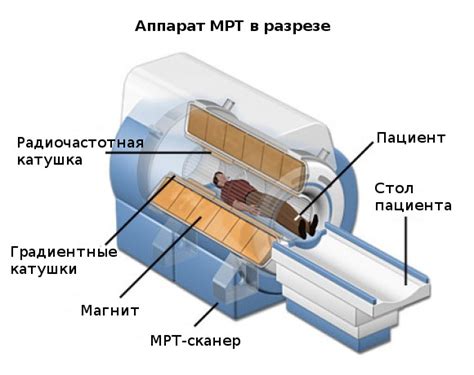 Как работает МРТ