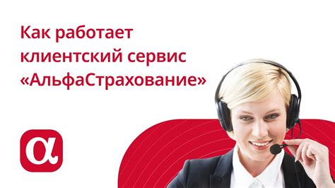 Как работает альфастрахование в несчастных случаях?