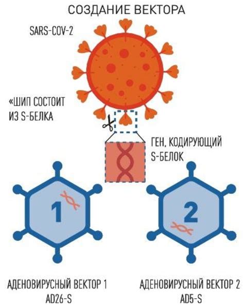 Как работает вакцина "Спутник V"