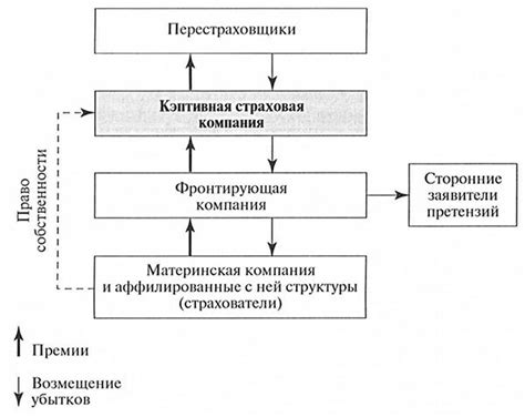 Как работает кэптивная компания?