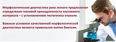 Как работает морфологическая верификация?