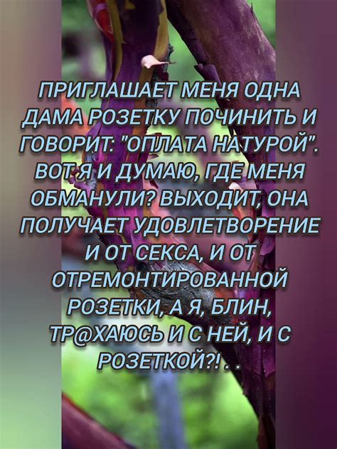 Как работает оплата натурой?