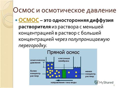 Как работает осмотическое давление