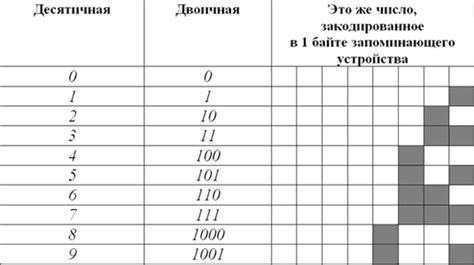 Как работает принцип разрядности двоичного кода?