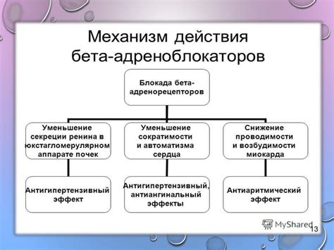 Как работает селективное блокирование бета-рецепторов