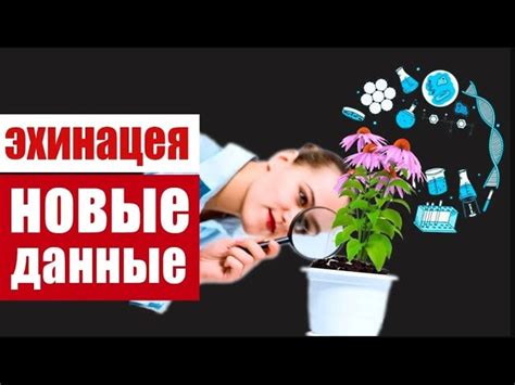 Как работает стимулятор акетилхолина?