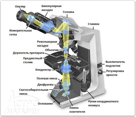 Как работает увеличение 40х микроскопа?