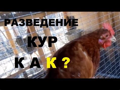 Как работают условные головы