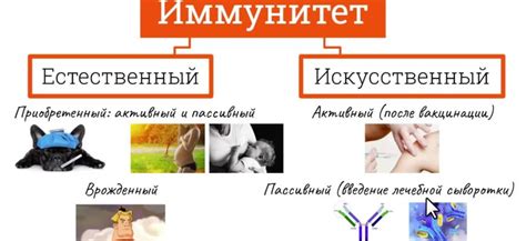 Как развить нестерильный иммунитет