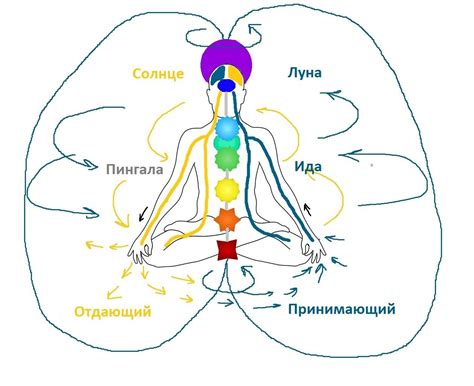 Как развить энергетический уровень 14 чакры