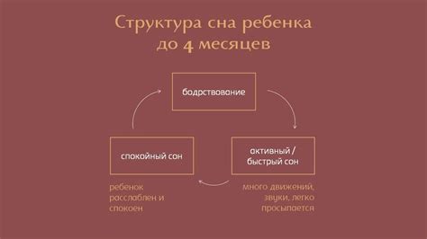 Как распознать личный смысл сна с искусственными ботаническими экземплярами