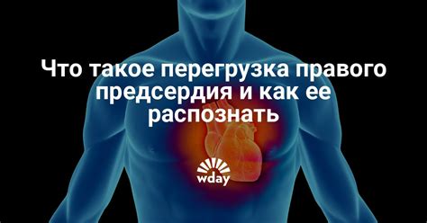 Как распознать перегрузку правого предсердия?