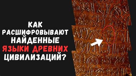 Как расшифровывают СОО?