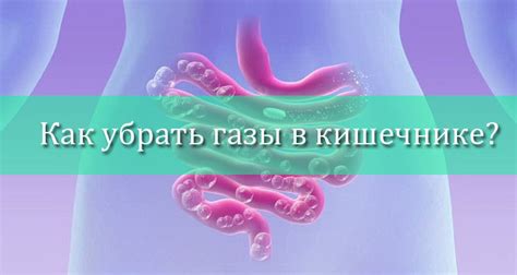 Как решить проблему отсутствия газов в кишечнике?