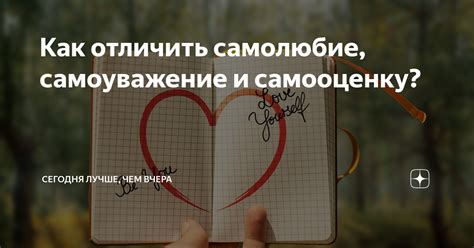 Как самолюбие влияет на самооценку и привлекательность