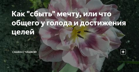 Как сбыть мечту о новом образе в Хмельницком: вдохновение из мира снов и фантазий