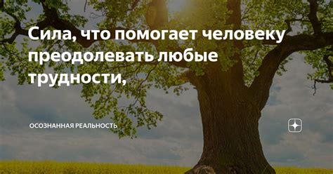 Как собственное достоинство помогает нам преодолевать трудности и испытания