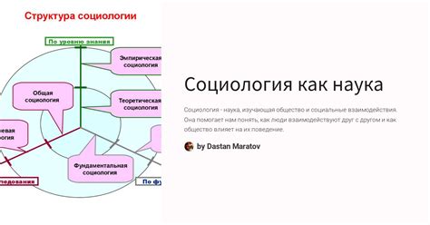 Как социология помогает понимать общество