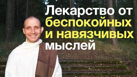 Как справиться с беспокойством, возникающим после сна о мертвой собаке на дороге