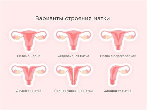 Как справиться с интенсивным выделением из матки?