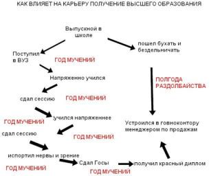 Как степень высшего образования влияет на карьеру