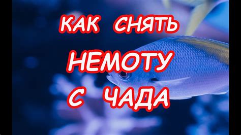 Как устранить немоту?