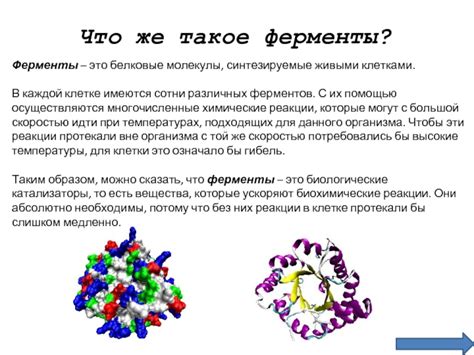 Как ферменты распознают молекулы