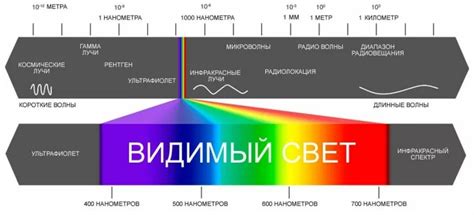 Как фильтр синего света влияет на зрение