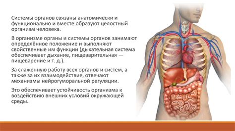 Как формируется кредо человека?